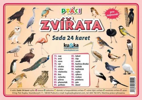 Sada 24 karet - zvířata (ptáci) A5 - Kupka Petr