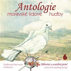 Audio CD: Antologie moravské lidové hudby 6