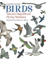 Birds: Nature's Magnificent Flying Machines (Arnold Caroline)(Paperback)