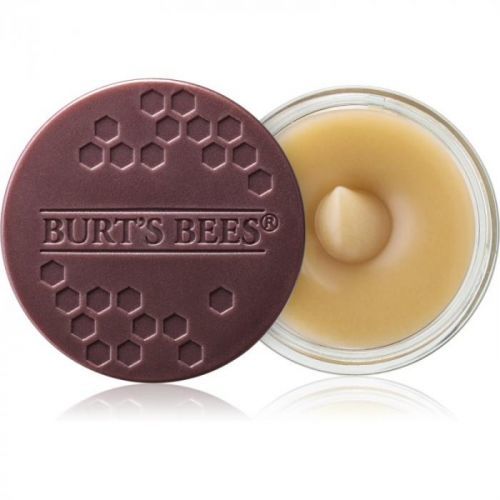 Burt’s Bees Lip Scrub peeling na rty s vyživujícím účinkem