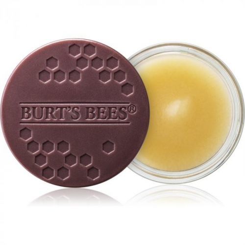 Burt’s Bees Lip Treatment intenzivní noční péče na rty