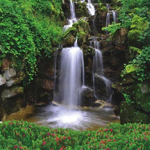 Obraz Skleněný Krajina & Příroda 20/20/140 Cm