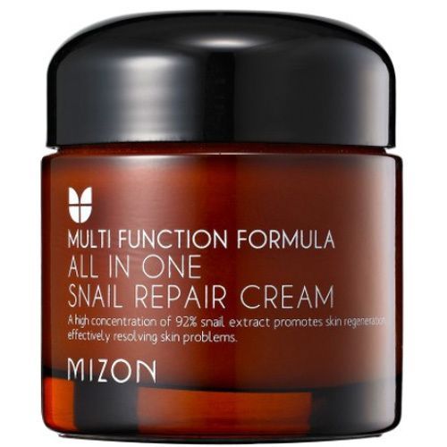 MIZON All In One Snail Repair, Krém na vrásky a problematickou pleť 120 ml