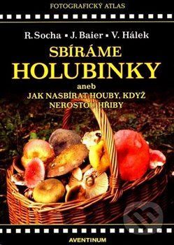 Sbíráme holubinky