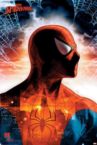 PYRAMID Plakát, Obraz - Spider-Man - Protector Of The City, (61 x 91.5 cm)