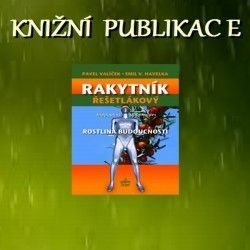 Rakytník řešetlákový - rostlina budoucnosti