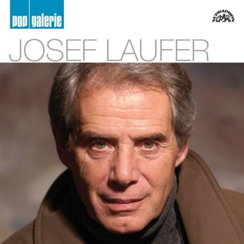 Josef Laufer Pop galerie