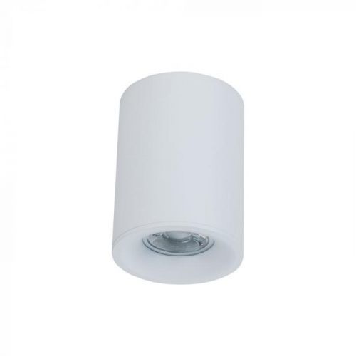 MAYTONI stropní svítidlo Alfa C012CL-01W