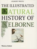Illustrated Natural History of Selborne (White Gilbert)(Paperback)