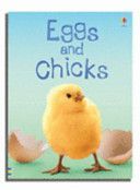 Eggs and Chicks (Patchett Fiona)(Pevná vazba)