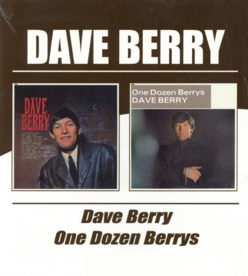 Dave Berry/one Dozen Berrys (Dave Berry) (CD / Album)