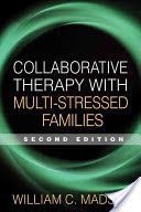 Collaborative Therapy with Multi-stressed Families (Madsen William C.)(Paperback)