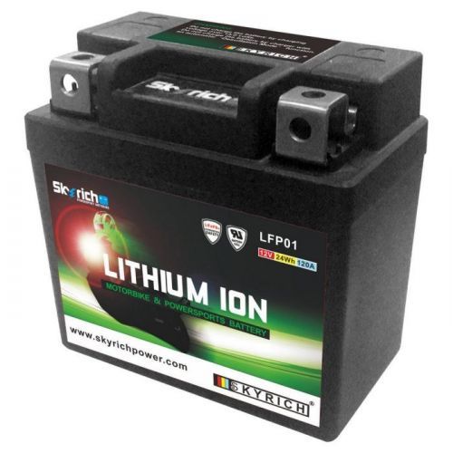 Skyrich LFP01 (12V/24Wh-120A)