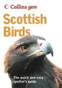 Scottish Birds (Thom Valerie)(Paperback)