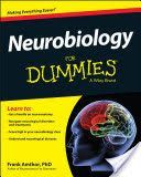 Neurobiology For Dummies (Amthor Frank)(Paperback)