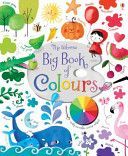Big Book of Colours (Brooks Felicity)(Board book)