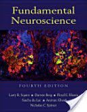 Fundamental Neuroscience (Squire Larry R.)(Pevná vazba)