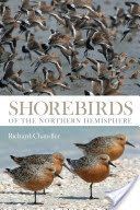 Shorebirds of the Northern Hemisphere (Chandler Richard)(Paperback)