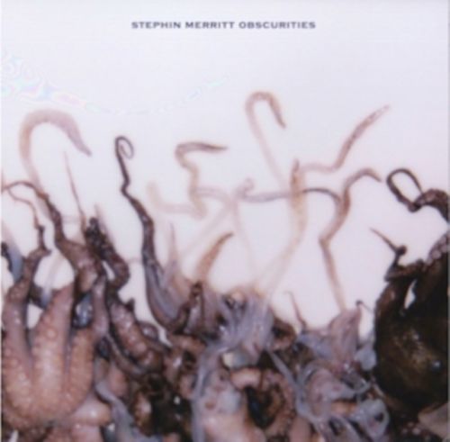 Obscurities (Stephin Merritt) (Vinyl / 12