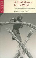 Reed Shaken by the Wind - Travels Among the Marsh Arabs of Iraq (Maxwell Gavin)(Paperback)