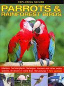 Exploring Nature: Parrots & Rainforest Birds - Macaws, Hummingbirds, Flamingos, Toucans and Other Exotic Species, All Shown in More Than 180 Pictures (Jackson Tom)(Pevná vazba)