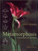 Metamorphosis: Evolution in Action - Evolution in Action (Suchantke Andreas)(Pevná vazba)