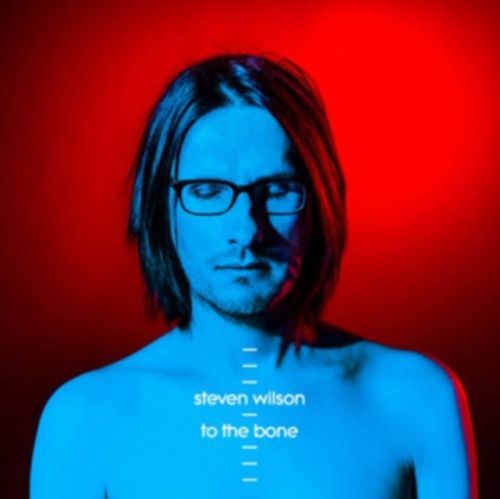 To the Bone (Steven Wilson) (Vinyl / 12