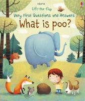 What is Poo? (Daynes Katie)(Board book)