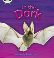 In the Dark (Lynch Emma)(Paperback)