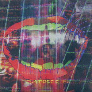 Centipede Hz (Animal Collective) (Vinyl / 12