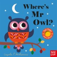Where's Mr Owl? (Arrhenius Ingela)(Board book)