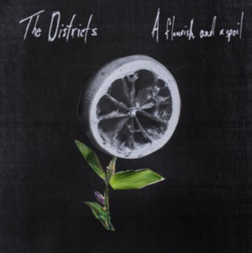 A Flourish and a Spoil (The Districts) (Vinyl / 12