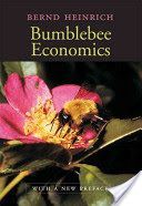 Bumblebee Economics (Heinrich Bernd)(Paperback)
