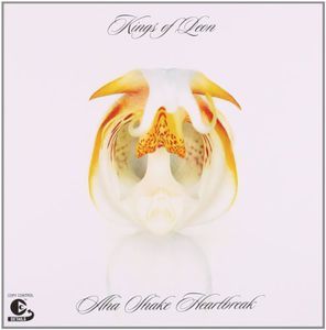 Aha Shake Heartbreak (Kings of Leon) (Vinyl / 12