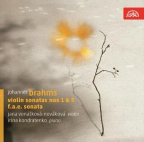 Johannes Brahms: Violin Sonatas Nos. 1 & 3/F.A.E. Sonata (CD / Album)