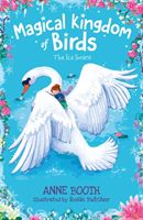 Magical Kingdom of Birds: The Ice Swans (Booth Anne)(Paperback / softback)