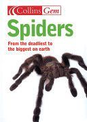 Spiders (Hillyard Paul)(Paperback)