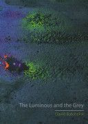 Luminous and the Grey (Batchelor David)(Paperback)