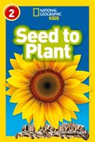 Seed to Plant (Rattini Kristin Baird)(Paperback)