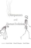 Chimpanzees and Human Evolution (Muller Martin N.)(Pevná vazba)