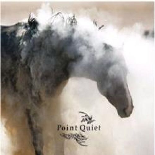 Point Quiet (CD / Album)