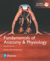 Fundamentals of Anatomy & Physiology, Global Edition (Martini Frederic H.)(Paperback)
