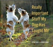 Really Important Stuff My Dog Has Taught Me (Workman Publishing)(Paperback)