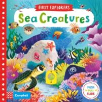 Sea Creatures (Chorkung)(Board book)