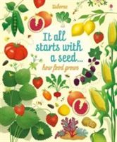 Big Picture Book How Food Grows (Bone Emily)(Pevná vazba)