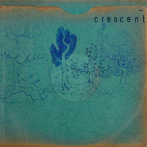 Resin Pockets (Crescent) (Vinyl / 12