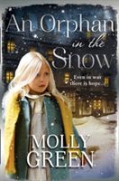 Orphan in the Snow (Green Molly)(Paperback)