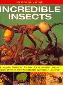 Exploring Nature: Incredible Insects - An Amazing Insight into the Lives of Ants, Termites, Bees and Wasps, Shown in More Than 220 Close-up Images (Green Dr Jen)(Pevná vazba)