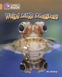 Weird Little Monsters (Bishop Nic)(Paperback)