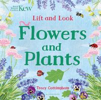 Kew: Lift and Look Flowers and Plants(Board book)